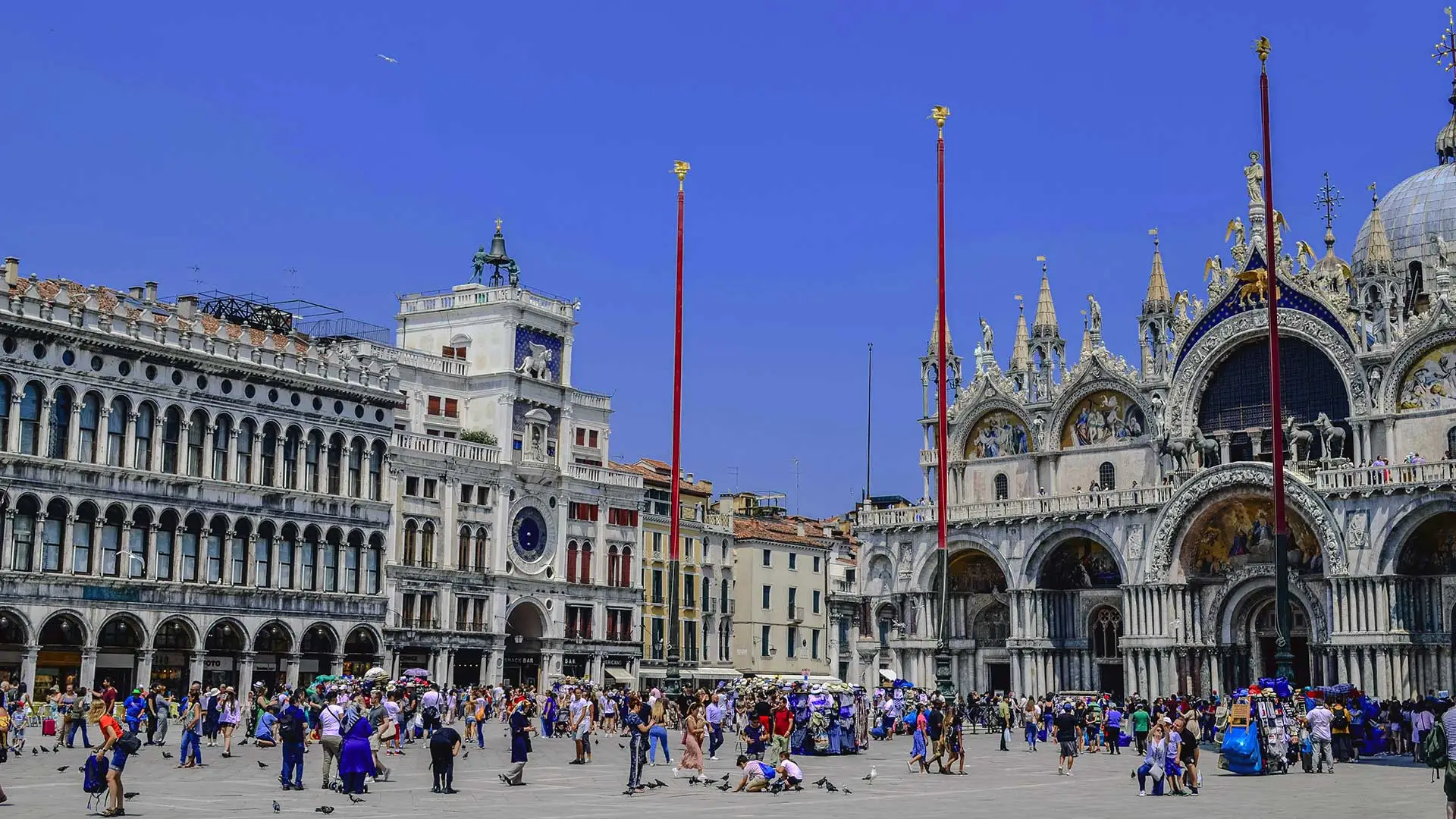 Procuratie vecchie | Venezia