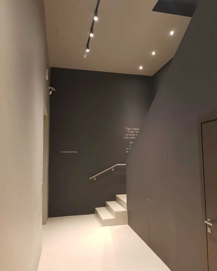 Immagine Museo S. Caterina | Treviso