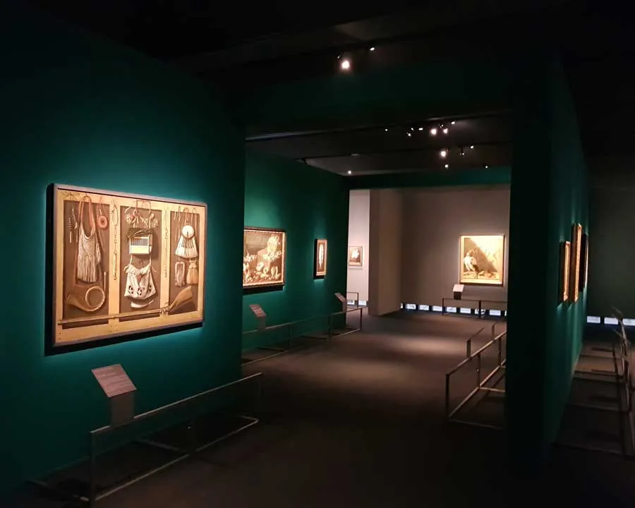 Immagine Museo S. Caterina | Treviso